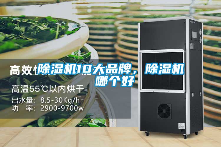 除濕機10大品牌，除濕機 哪個好