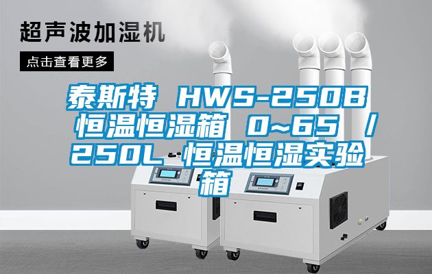 泰斯特 HWS-250B 恒溫恒濕箱 0~65℃／250L 恒溫恒濕實驗箱