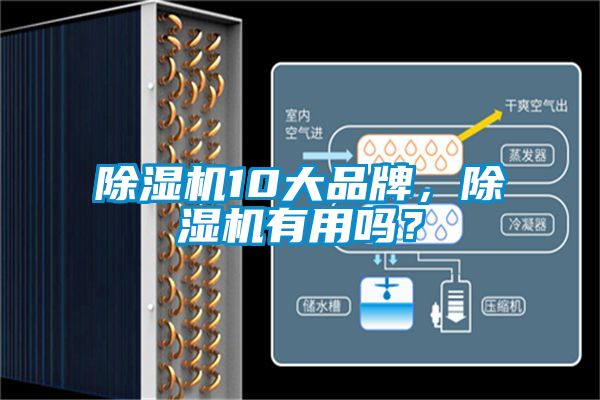 除濕機10大品牌，除濕機有用嗎？