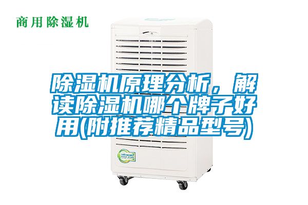 除濕機原理分析，解讀除濕機哪個牌子好用(附推薦精品型號)