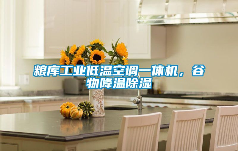 糧庫工業(yè)低溫空調一體機，谷物降溫除濕