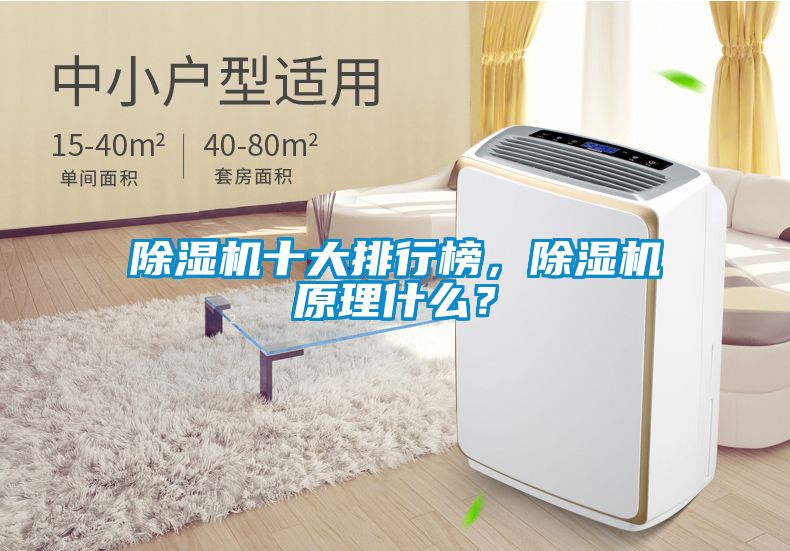 除濕機十大排行榜，除濕機原理什么？
