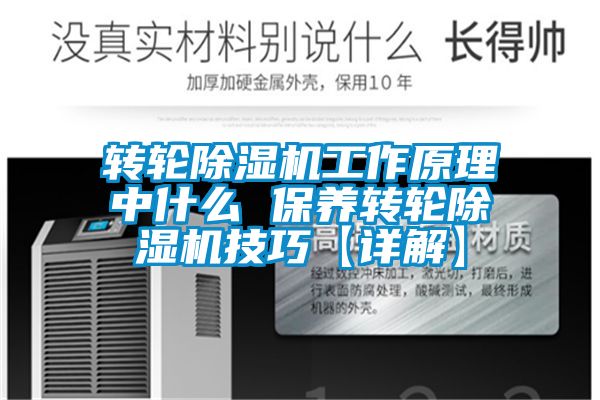 轉輪除濕機工作原理中什么 保養(yǎng)轉輪除濕機技巧【詳解】