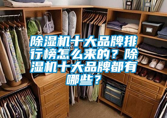 除濕機十大品牌排行榜怎么來的？除濕機十大品牌都有哪些？