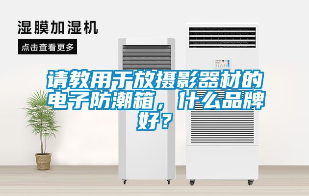 請(qǐng)教用于放攝影器材的電子防潮箱，什么品牌好？