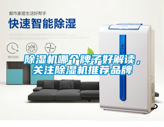 除濕機(jī)哪個牌子好解讀，關(guān)注除濕機(jī)推薦品牌