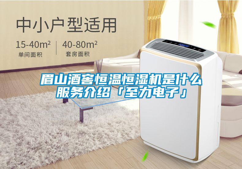 眉山酒窖恒溫恒濕機是什么服務介紹「至力電子」