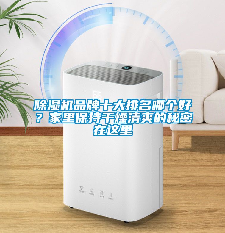 除濕機品牌十大排名哪個好？家里保持干燥清爽的秘密在這里