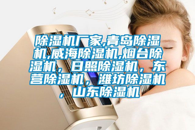 除濕機(jī)廠家,青島除濕機(jī),威海除濕機(jī),煙臺(tái)除濕機(jī)，日照除濕機(jī)，東營(yíng)除濕機(jī)，濰坊除濕機(jī)，山東除濕機(jī)