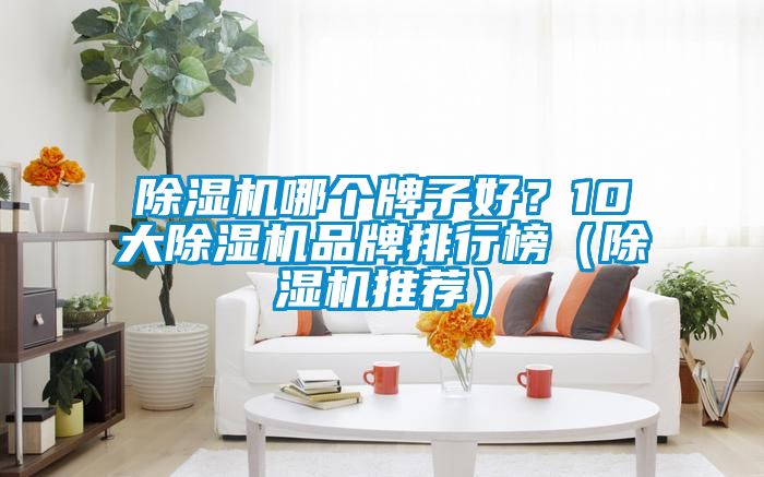 除濕機(jī)哪個牌子好？10大除濕機(jī)品牌排行榜（除濕機(jī)推薦）