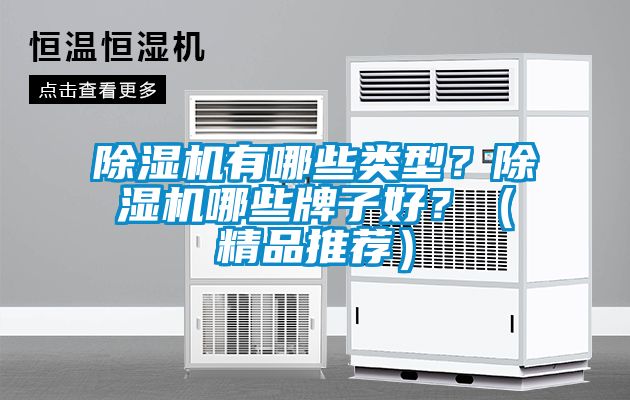 除濕機(jī)有哪些類型？除濕機(jī)哪些牌子好？（精品推薦）