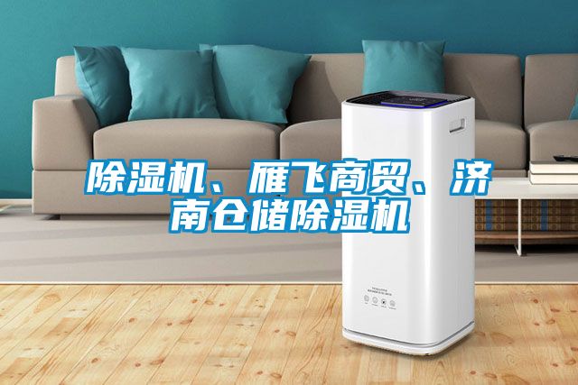 除濕機、雁飛商貿(mào)、濟南倉儲除濕機