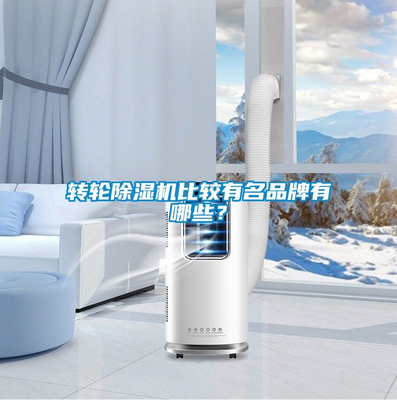 轉輪除濕機比較有名品牌有哪些？