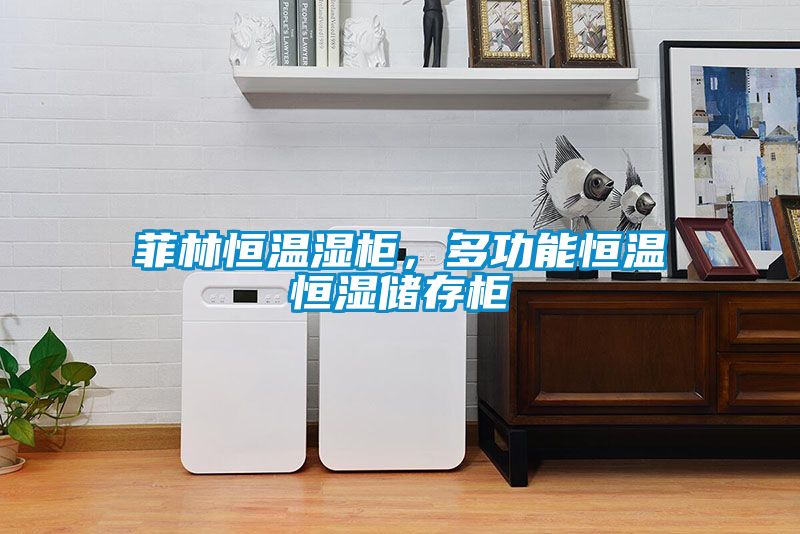 菲林恒溫濕柜，多功能恒溫恒濕儲存柜