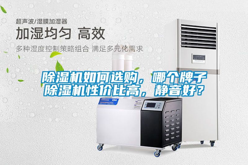 除濕機(jī)如何選購(gòu)，哪個(gè)牌子除濕機(jī)性價(jià)比高，靜音好？