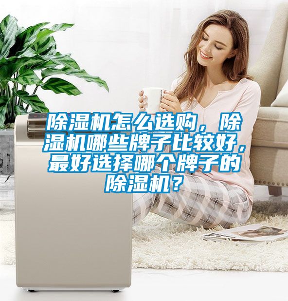 除濕機(jī)怎么選購，除濕機(jī)哪些牌子比較好，最好選擇哪個(gè)牌子的除濕機(jī)？