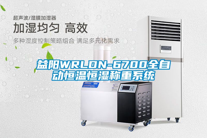 益陽WRLDN-6700全自動(dòng)恒溫恒濕稱重系統(tǒng)