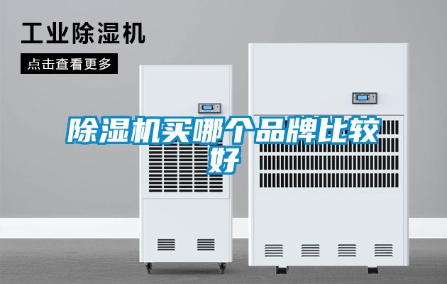 除濕機(jī)買哪個品牌比較好