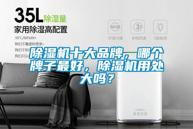 除濕機(jī)十大品牌，哪個(gè)牌子最好，除濕機(jī)用處大嗎？