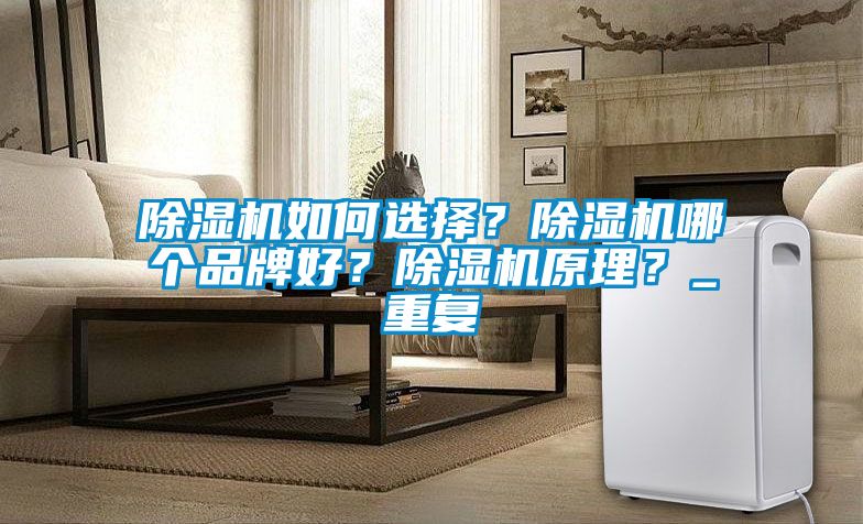 除濕機如何選擇？除濕機哪個品牌好？除濕機原理？_重復