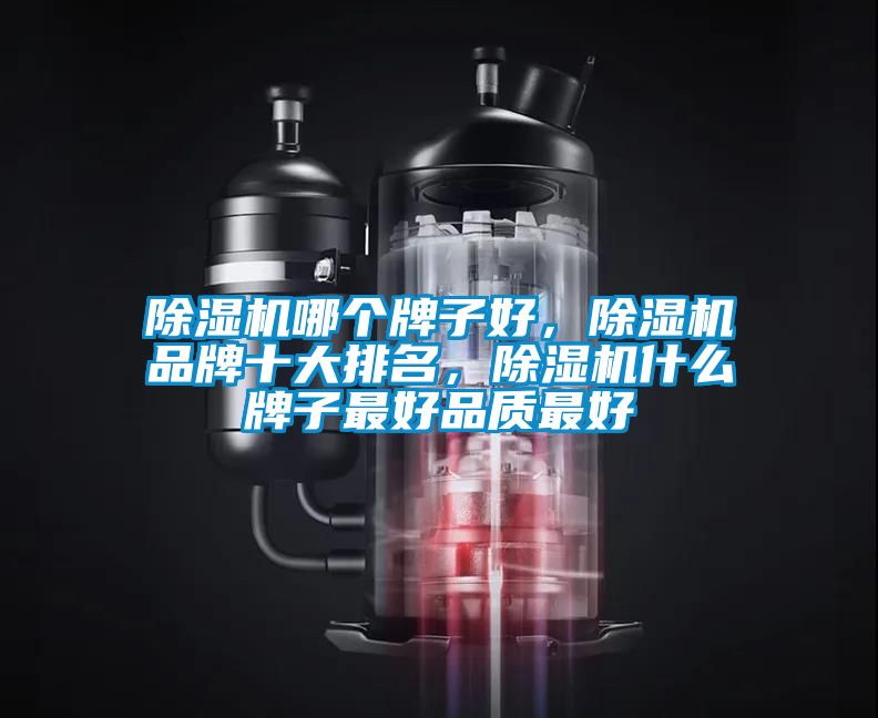 除濕機(jī)哪個牌子好，除濕機(jī)品牌十大排名，除濕機(jī)什么牌子最好品質(zhì)最好