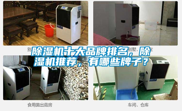 除濕機十大品牌排名，除濕機推薦，有哪些牌子？