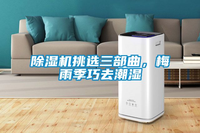 除濕機挑選三部曲，梅雨季巧去潮濕