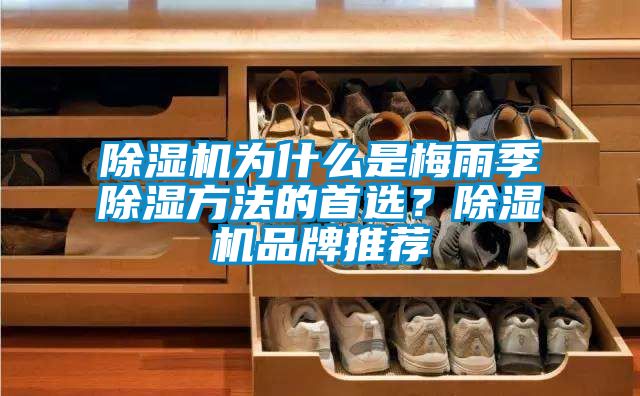 除濕機為什么是梅雨季除濕方法的首選？除濕機品牌推薦