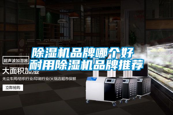 除濕機品牌哪個好 耐用除濕機品牌推薦