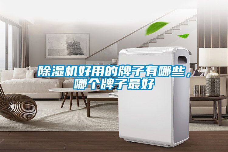 除濕機好用的牌子有哪些，哪個牌子最好