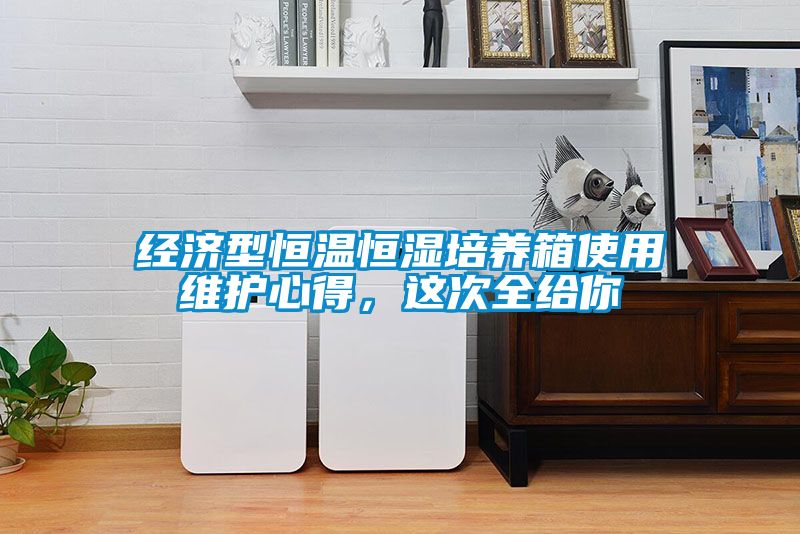 經濟型恒溫恒濕培養箱使用維護心得，這次全給你