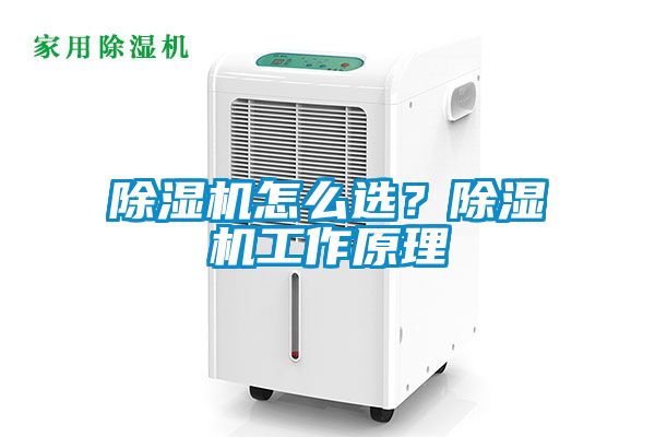 除濕機怎么選？除濕機工作原理