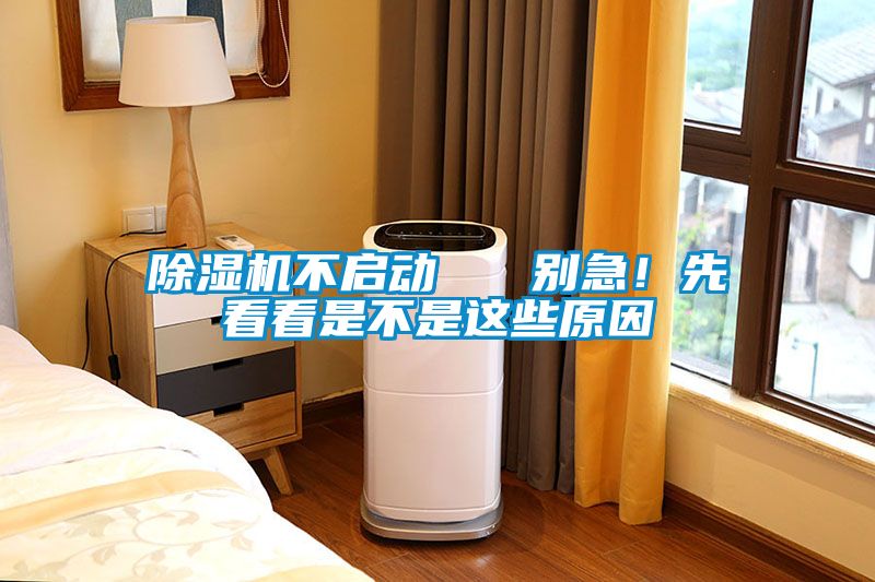 除濕機不啟動   別急！先看看是不是這些原因