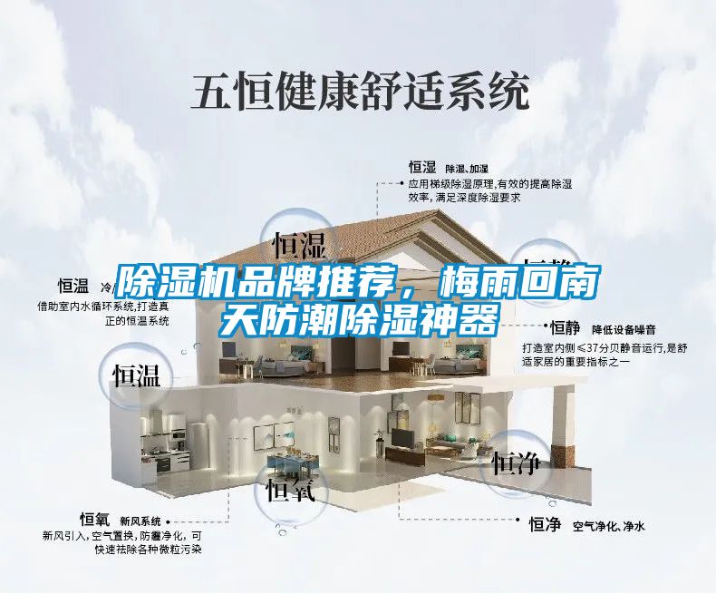 除濕機品牌推薦，梅雨回南天防潮除濕神器