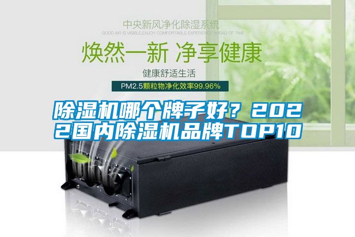 除濕機(jī)哪個牌子好？2022國內(nèi)除濕機(jī)品牌TOP10