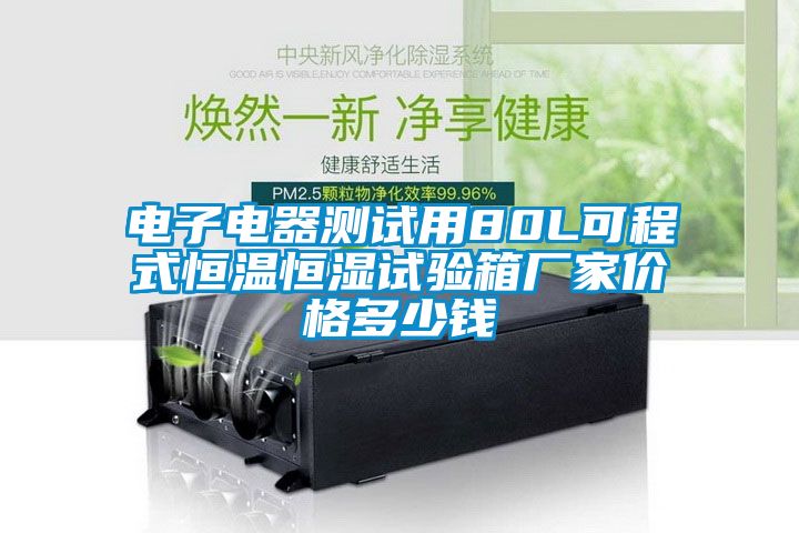 電子電器測(cè)試用80L可程式恒溫恒濕試驗(yàn)箱廠家價(jià)格多少錢(qián)