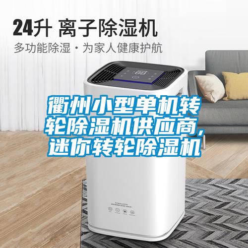 衢州小型單機轉(zhuǎn)輪除濕機供應(yīng)商,迷你轉(zhuǎn)輪除濕機