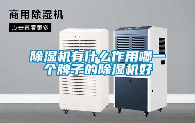 除濕機有什么作用哪一個牌子的除濕機好