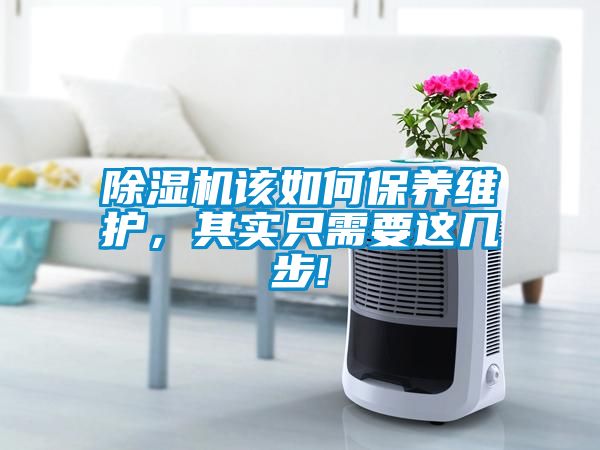 除濕機該如何保養(yǎng)維護，其實只需要這幾步!