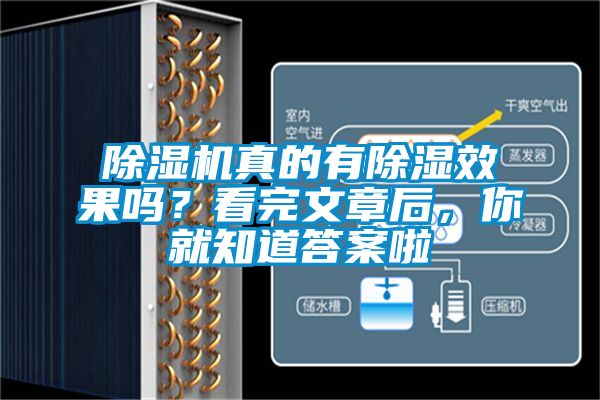 除濕機真的有除濕效果嗎？看完文章后，你就知道答案啦