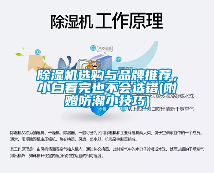 除濕機選購與品牌推薦，小白看完也不會選錯(附贈防潮小技巧)