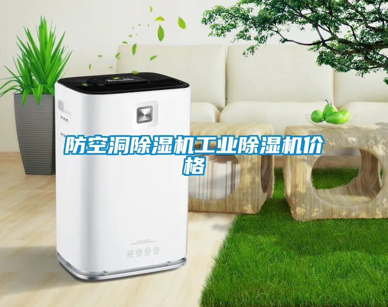 防空洞除濕機工業(yè)除濕機價格