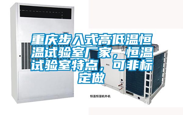 重慶步入式高低溫恒溫試驗室廠家，恒溫試驗室特點，可非標定做