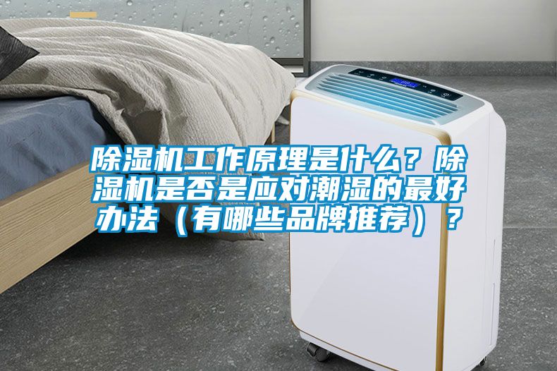 除濕機(jī)工作原理是什么？除濕機(jī)是否是應(yīng)對(duì)潮濕的最好辦法（有哪些品牌推薦）？