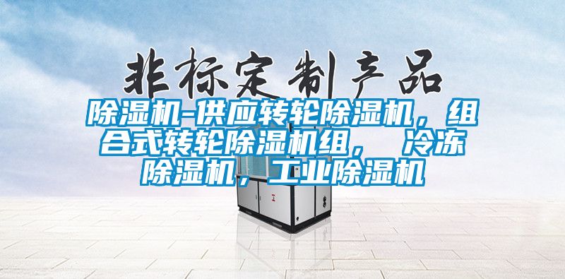 除濕機-供應轉輪除濕機，組合式轉輪除濕機組， 冷凍除濕機，工業除濕機