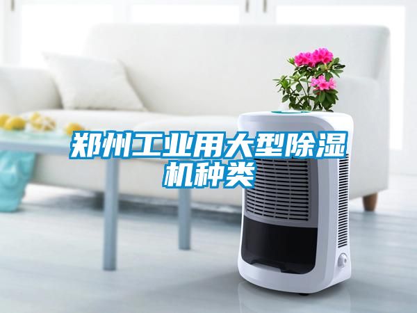 鄭州工業用大型除濕機種類