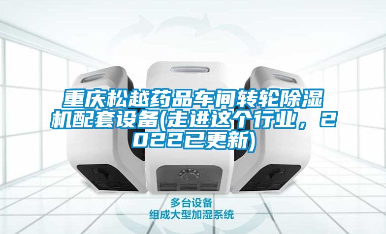 重慶松越藥品車間轉(zhuǎn)輪除濕機配套設(shè)備(走進這個行業(yè)，2022已更新)