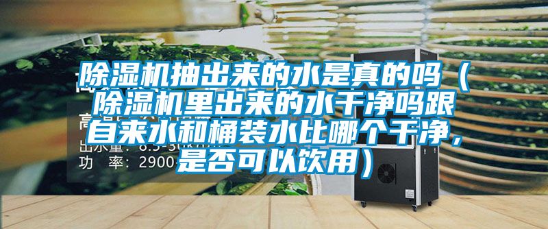 除濕機(jī)抽出來(lái)的水是真的嗎（除濕機(jī)里出來(lái)的水干凈嗎跟自來(lái)水和桶裝水比哪個(gè)干凈，是否可以飲用）