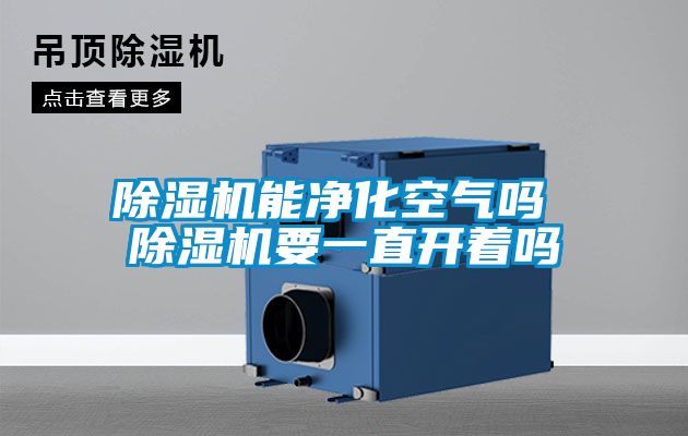 除濕機(jī)能凈化空氣嗎 除濕機(jī)要一直開(kāi)著嗎