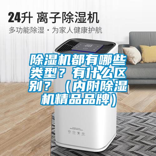 除濕機都有哪些類型？有什么區別？（內附除濕機精品品牌）